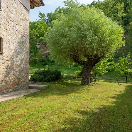 Charming Near Assisi, Service & Experience Villa Valfabbrica